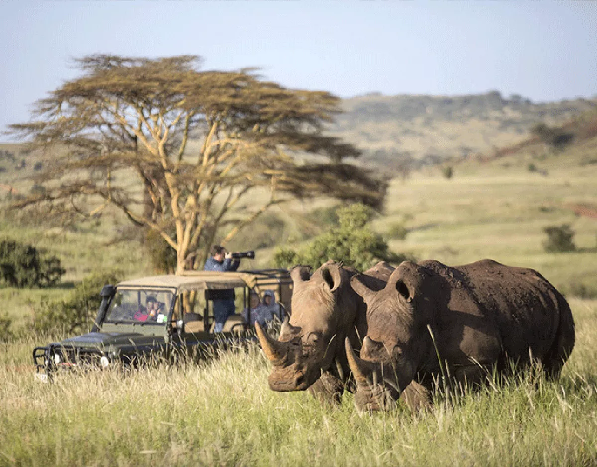 Quênia Safari em Família by andBeyond